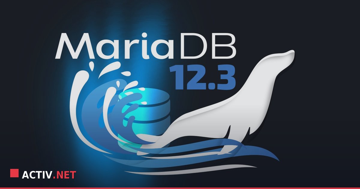 MariaDB 12.3 LTS: De ce este esentiala actualizarea pentru serverele firmei tale