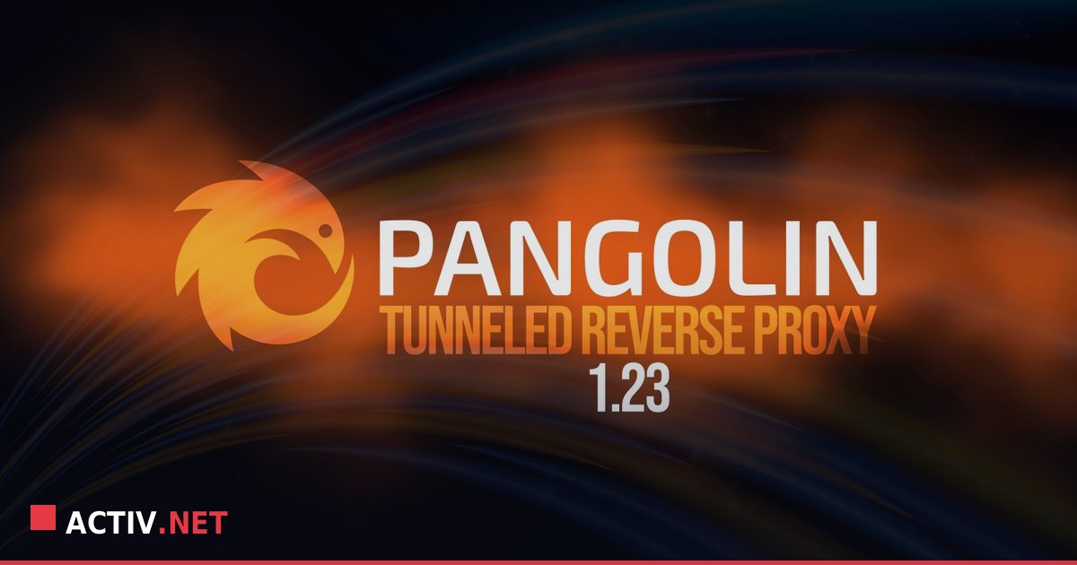 Pangolin 1.23: High Availability simplificat pentru acces la distanta