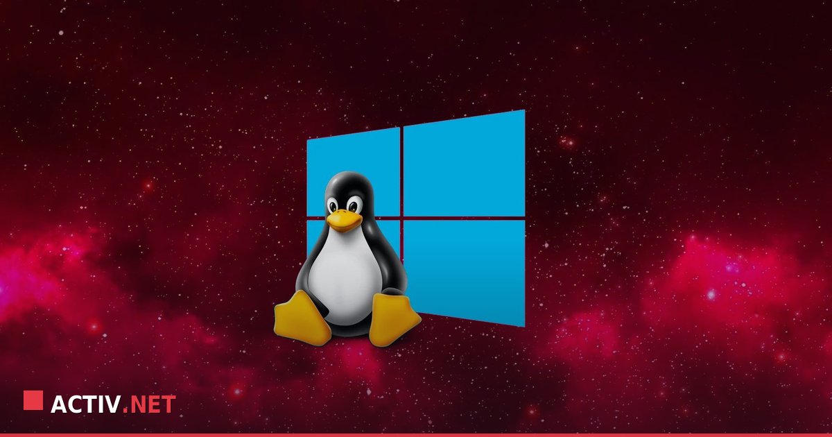 Suportul pentru containere Linux in WSL: Ce inseamna pentru mediul IT