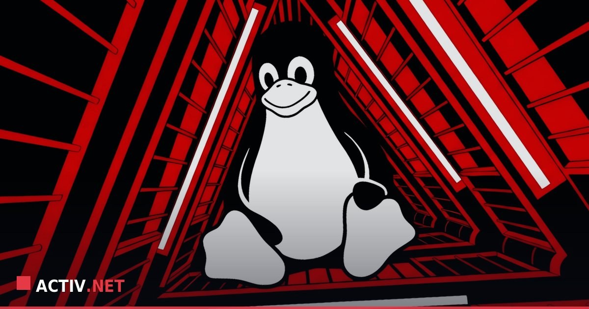Vulnerabilitate critică în kernelul Linux: ce trebuie să știe firmele