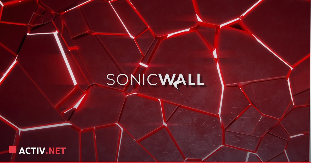 Vulnerabilitati SonicWall: De ce VPN-ul tau ar putea fi o poarta deschisa catre atacatori