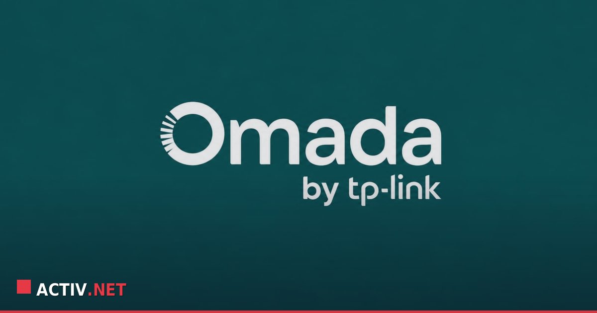 Vulnerabilitati majore in echipamentele TP-Link Omada: Ce trebuie sa stie firmele